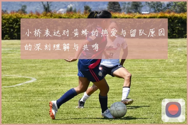 小桥表达对黄蜂的热爱与留队原因的深刻理解与共鸣