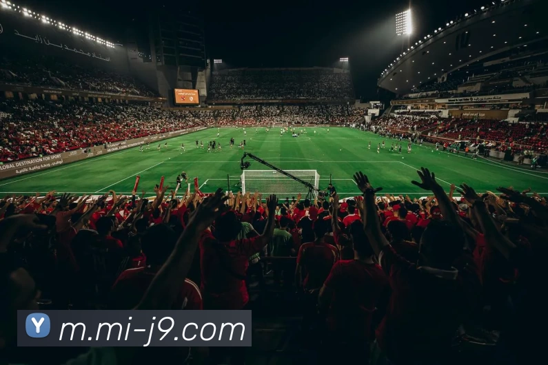 多媒体互动体验